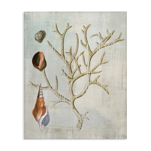 Stupell Industries Seashells and Coral Branch Animals Painting Wrapped Canvas Canvas Art Print Wall Art, 16 x 20