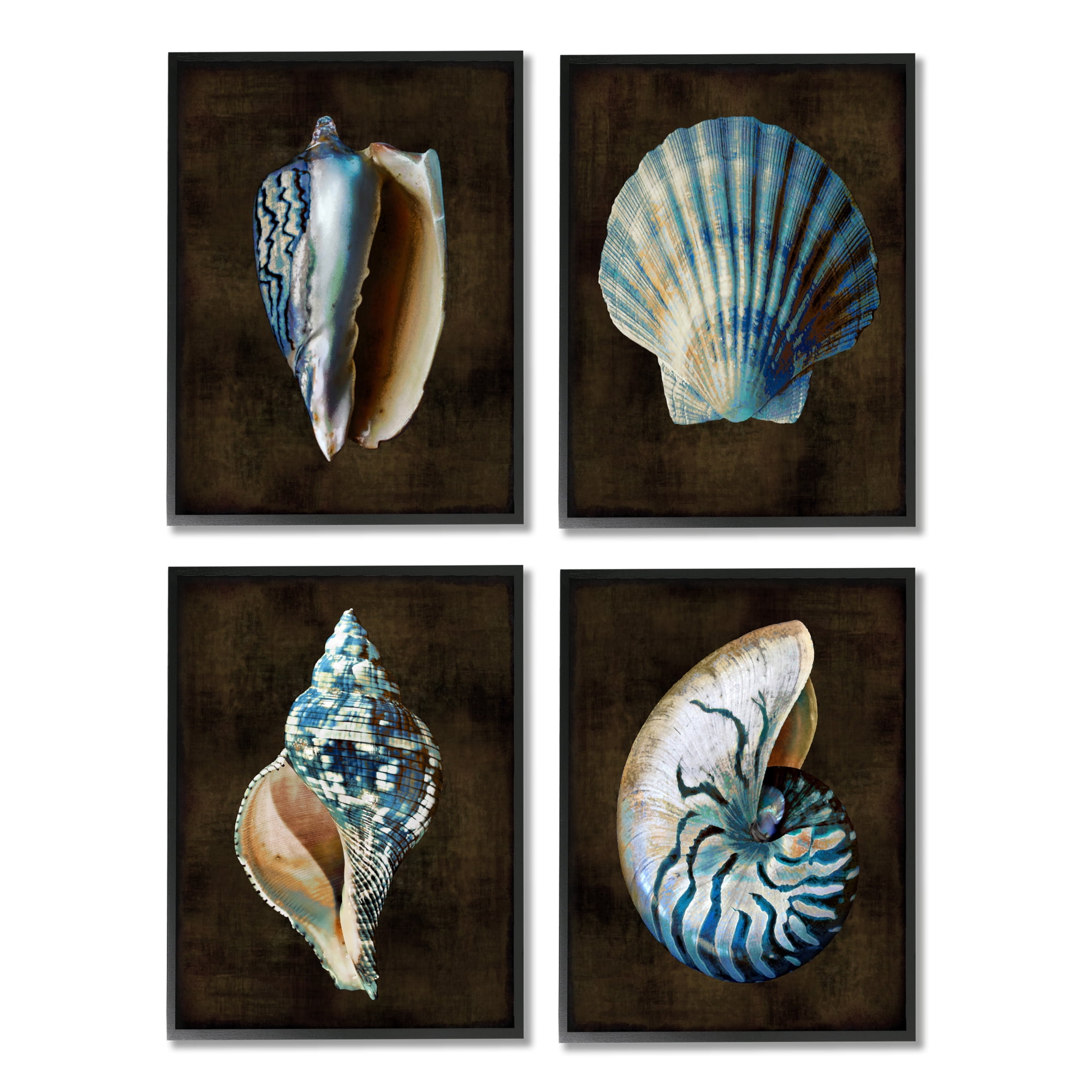 Stupell Industries Seashells on Black Animals & Insects Painting Black Framed Art Print Wall Art, 16 x 20, Set of 4