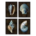 thumbnail image 1 of Stupell Industries Seashells on Black Animals & Insects Painting Black Framed Art Print Wall Art, 16 x 20, Set of 4, 1 of 10
