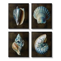Stupell Industries Seashells on Black Animals & Insects Painting Gallery Wrapped Canvas Print Wall Art, 11 x 14, Set of 4