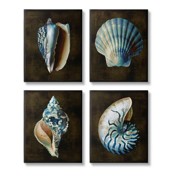 Stupell Industries Seashells on Black Animals & Insects Painting Gallery Wrapped Canvas Print Wall Art, 16 x 20, Set of 4