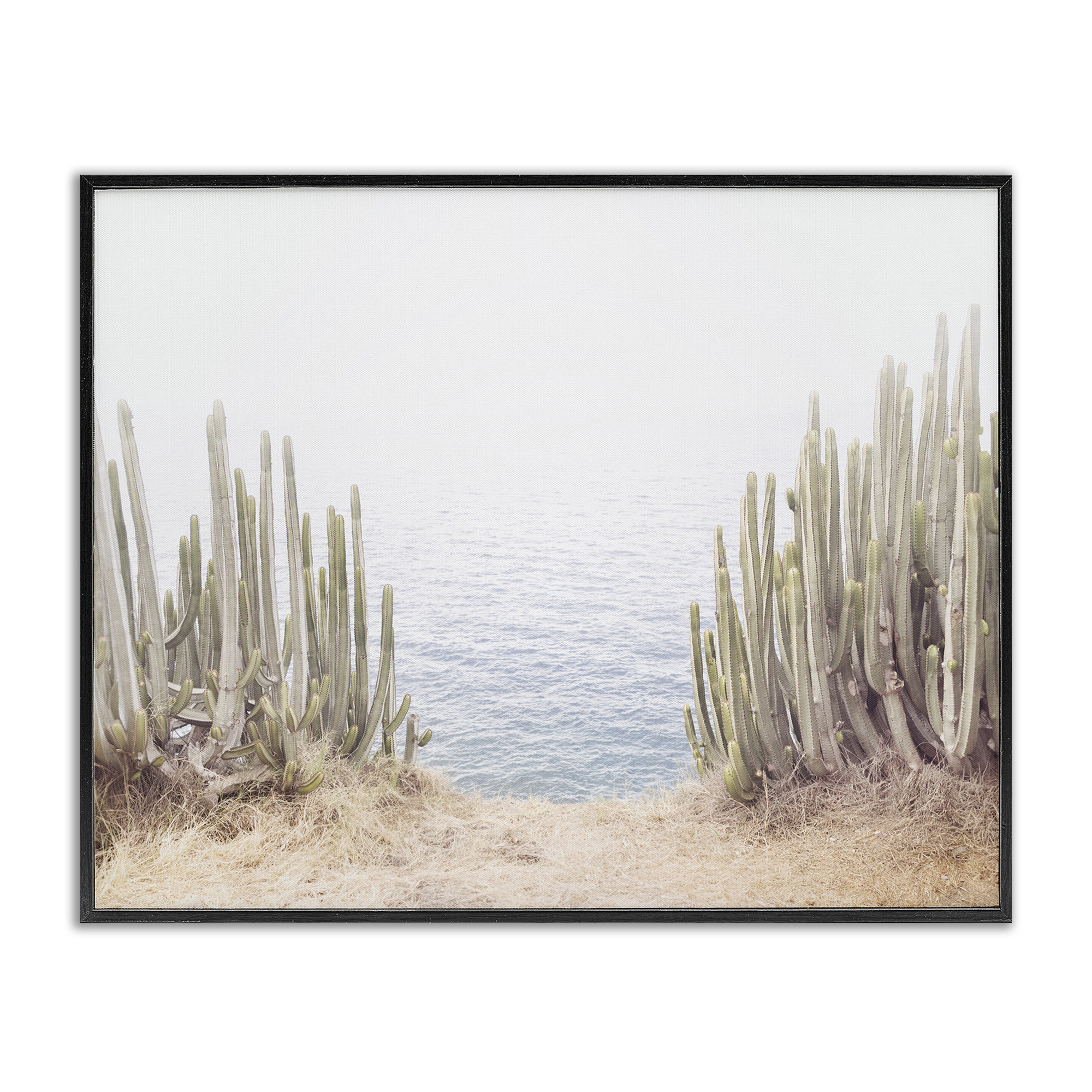 Stupell Industries Seaside Cacti Plants Nautical & Beach Photography Black Framed Art Print Wall Art, 30 x 24