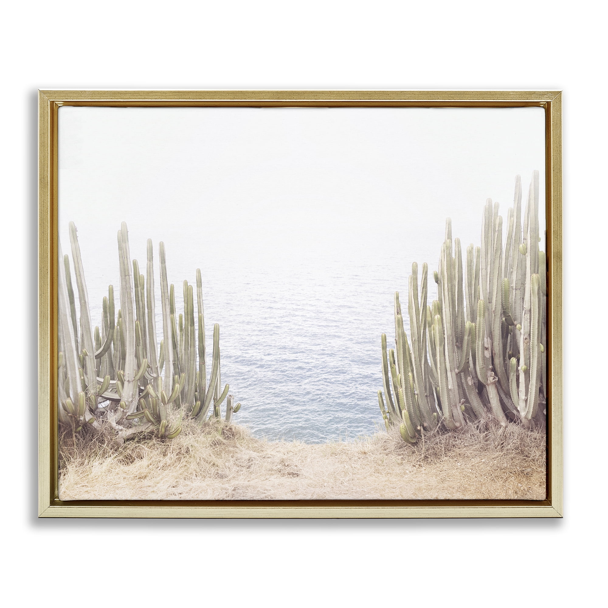 Stupell Industries Seaside Cacti Plants Nautical & Beach Photography Gold Floater Framed Canvas Art Print Wall Art, 21 x 17