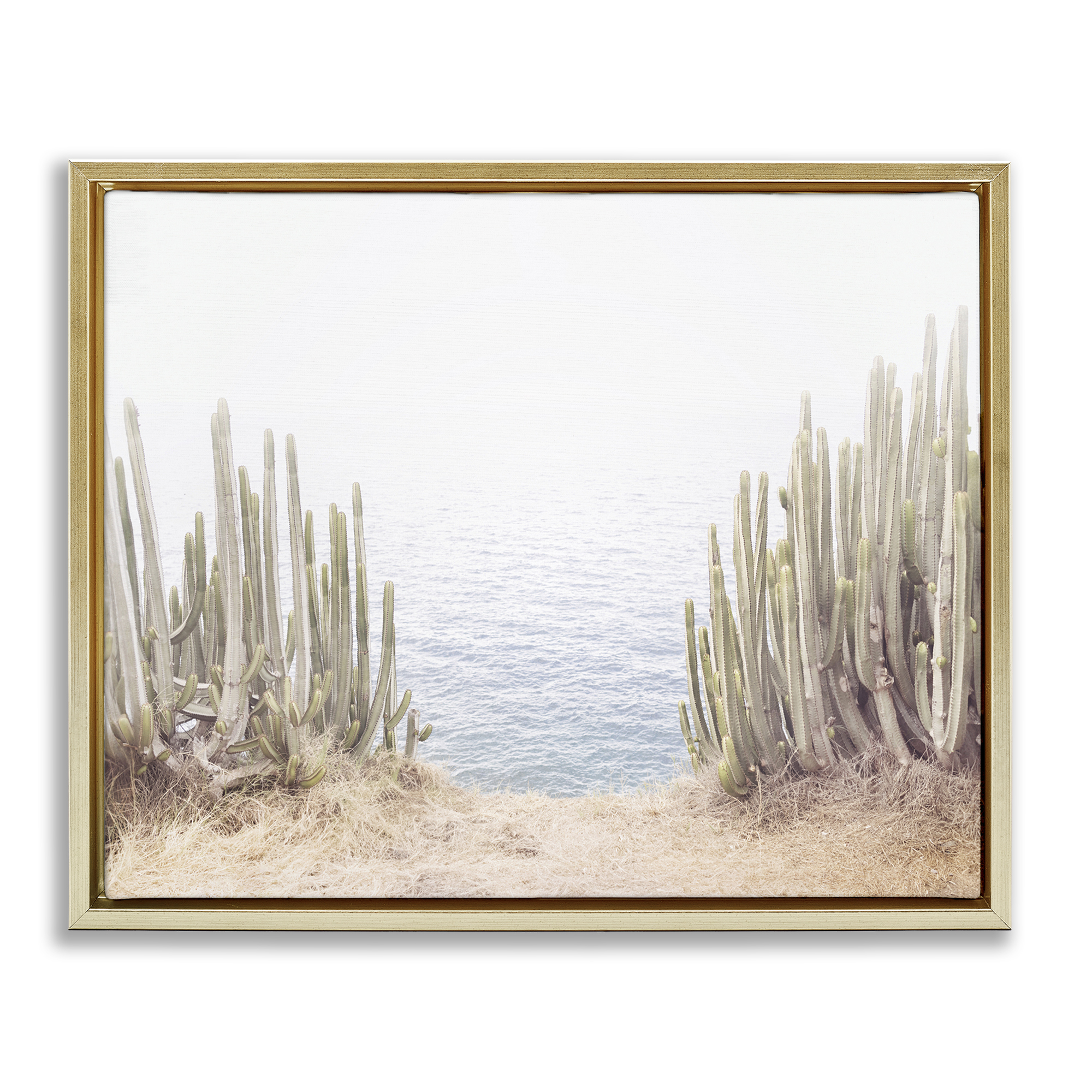 Stupell Industries Seaside Cacti Plants Nautical & Beach Photography Gold Floater Framed Canvas Art Print Wall Art, 31 x 25