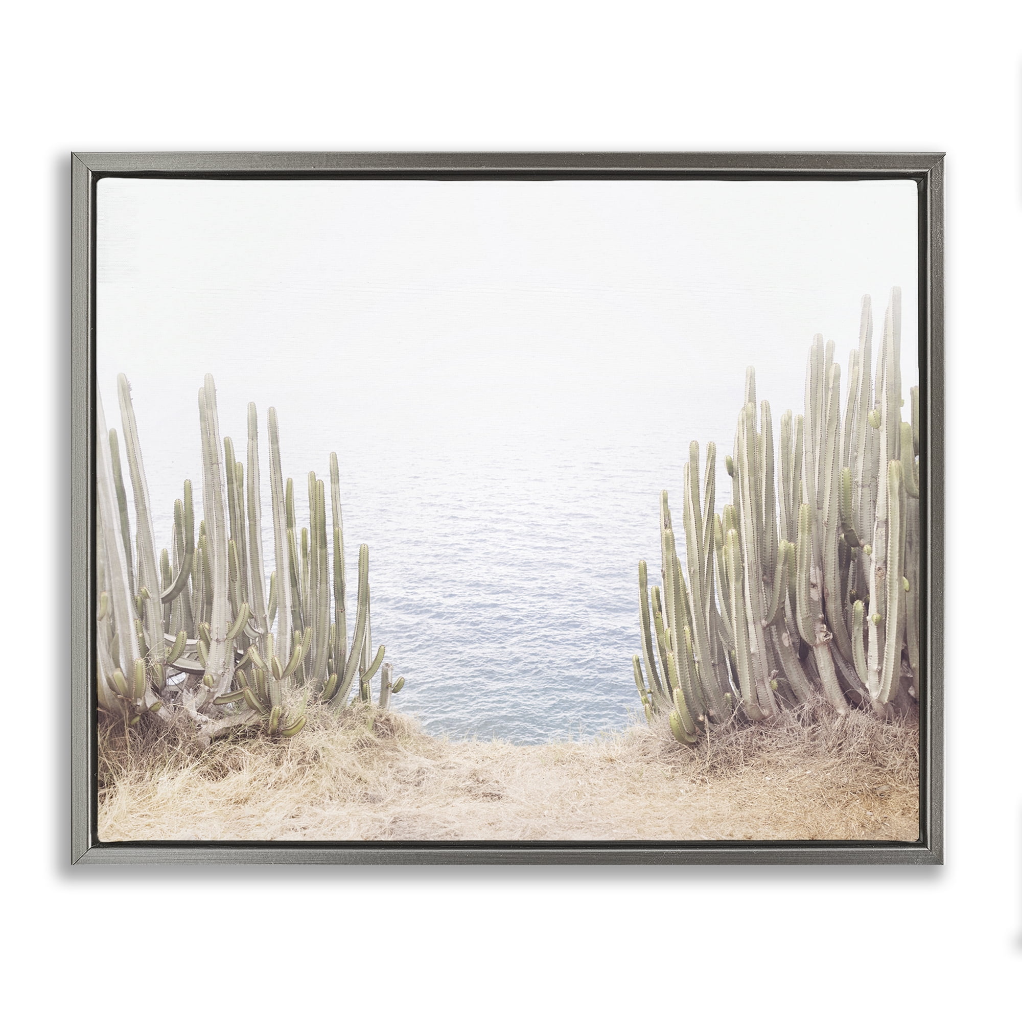 Stupell Industries Seaside Cacti Plants Nautical & Beach Photography Gray Floater Framed Canvas Art Print Wall Art, 31 x 25