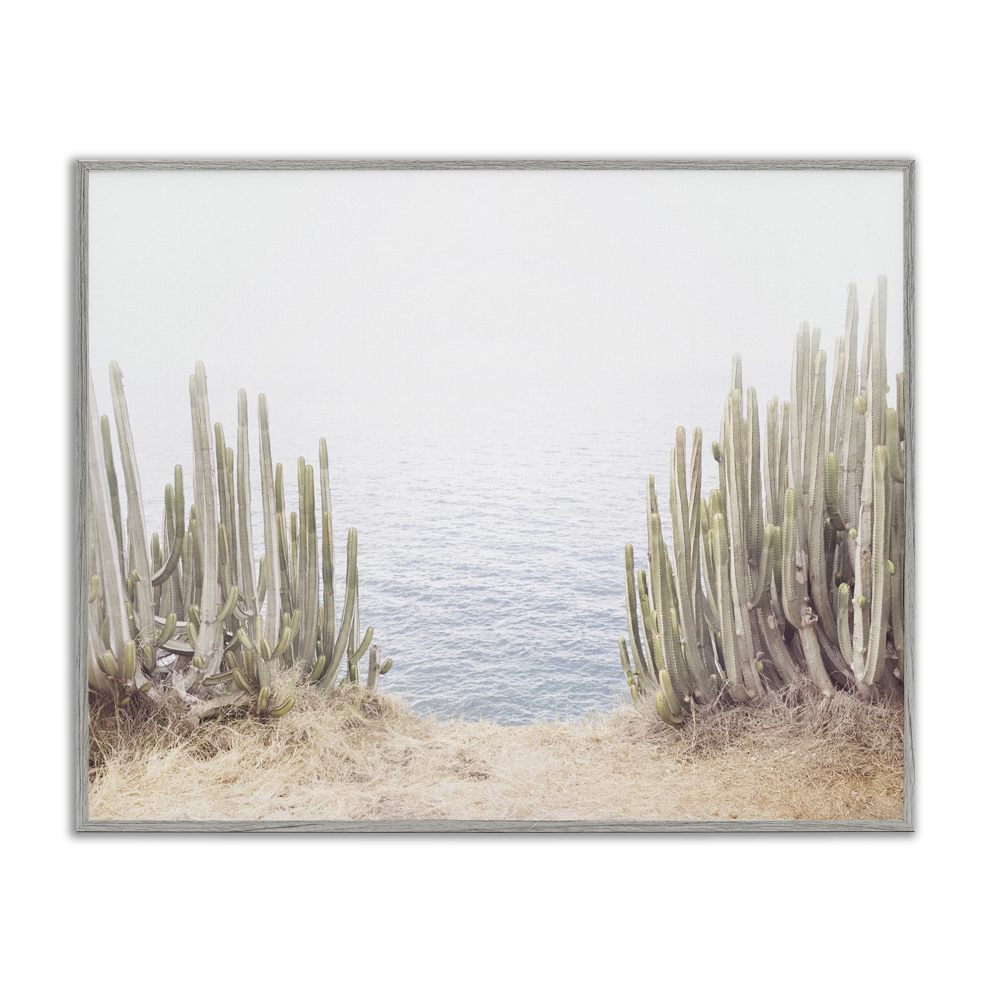 Stupell Industries Seaside Cacti Plants Nautical & Beach Photography Gray Framed Art Print Wall Art, 14 x 11