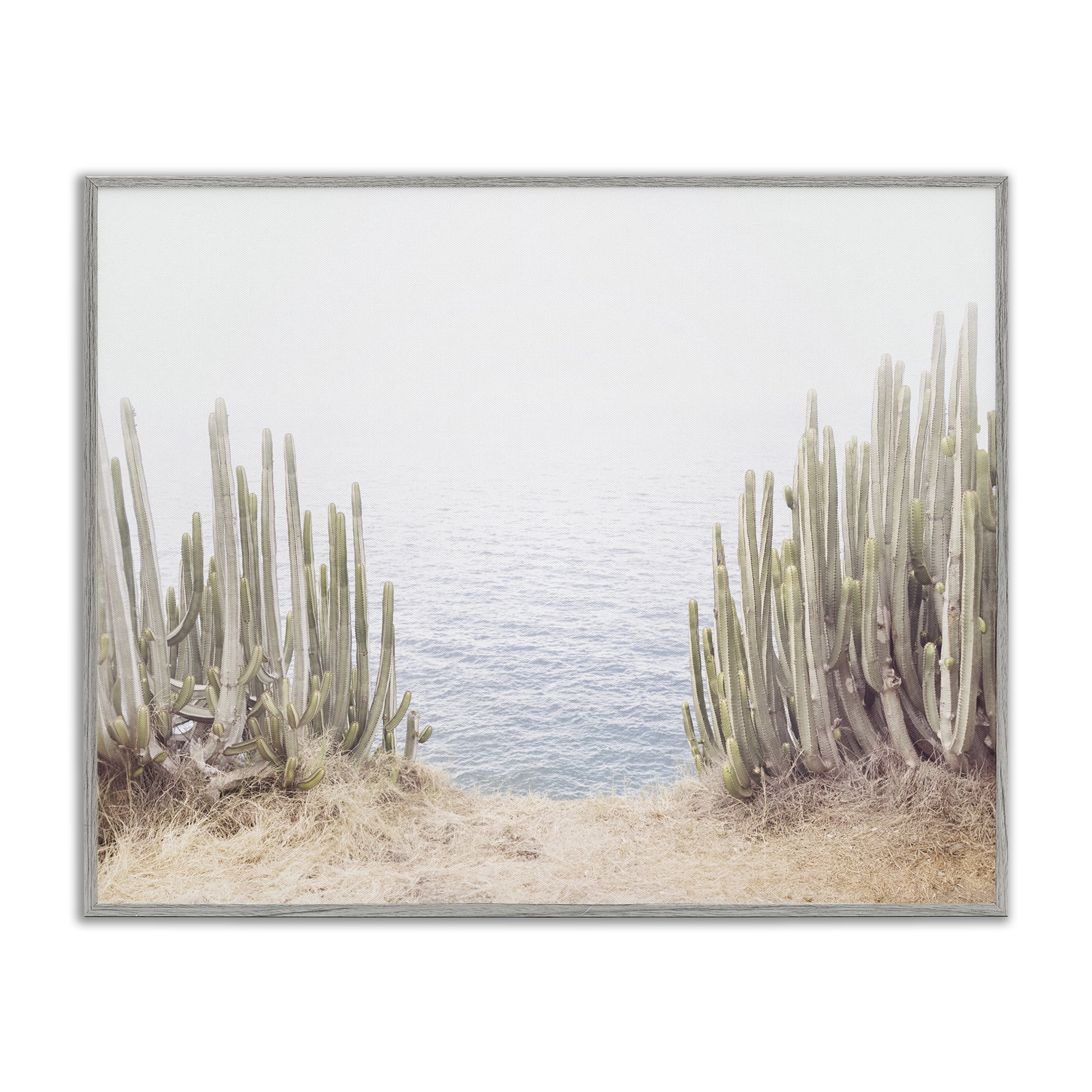 Stupell Industries Seaside Cacti Plants Nautical & Beach Photography Gray Framed Art Print Wall Art, 30 x 24