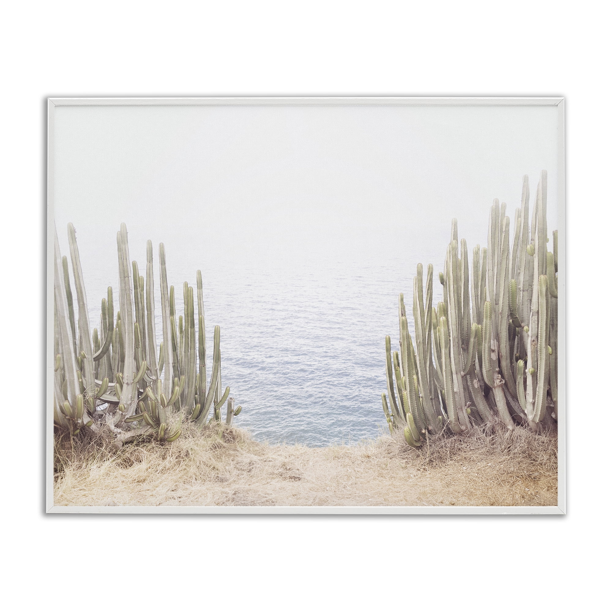 Stupell Industries Seaside Cacti Plants Nautical & Beach Photography White Framed Art Print Wall Art, 30 x 24