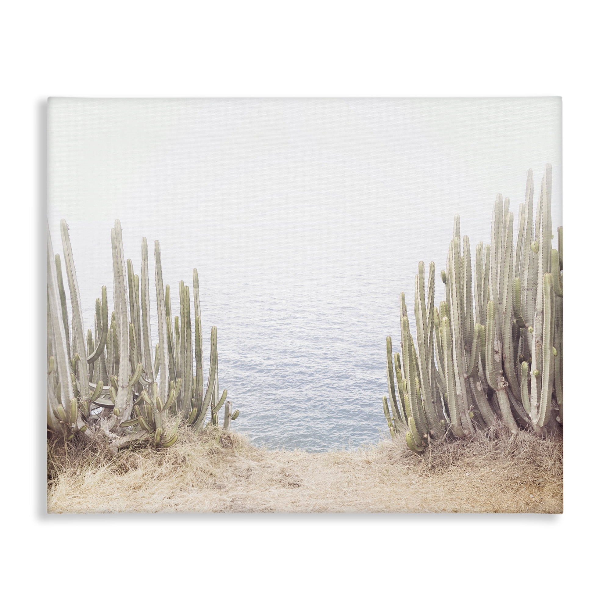 Stupell Industries Seaside Cacti Plants Nautical & Beach Photography Wrapped Canvas Art Print Wall Art, 40 x 30