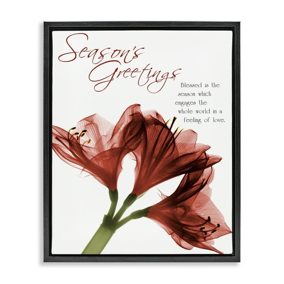 Stupell Industries Season's Greetings Holiday Amaryllis Black Framed Floater Canvas Wall Art design by Albert Koetsier, 21 x 17
