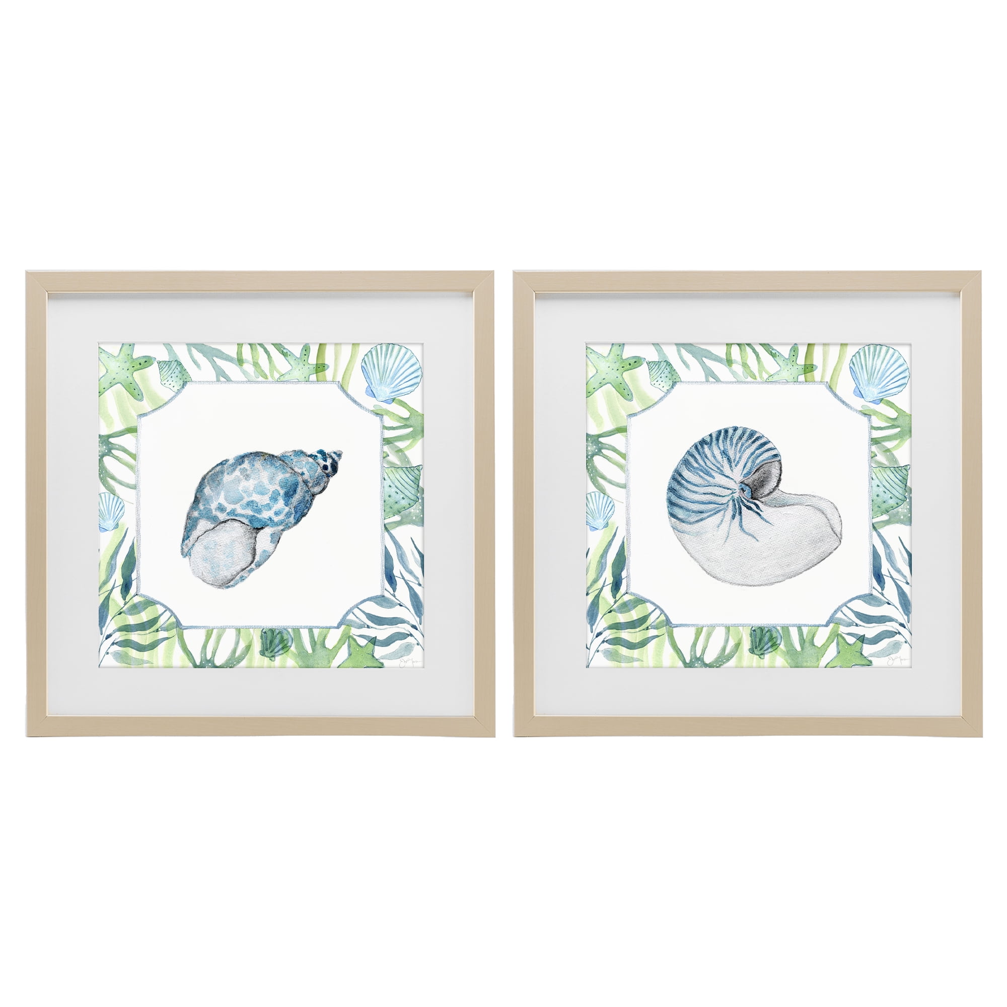 Stupell Industries Seaweed Bordered Seashells 2 Piece Birch Framed Print Under Glass Set, design by Janet Tava