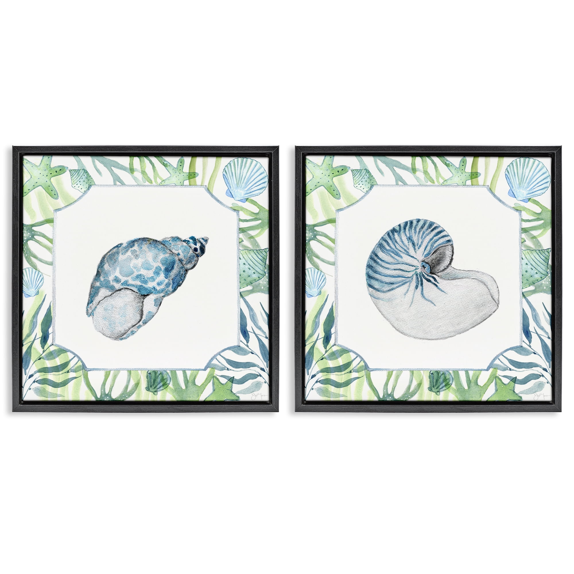 Stupell Industries Seaweed Bordered Seashells 2 Piece Black Framed Floater Canvas Set, design by Janet Tava