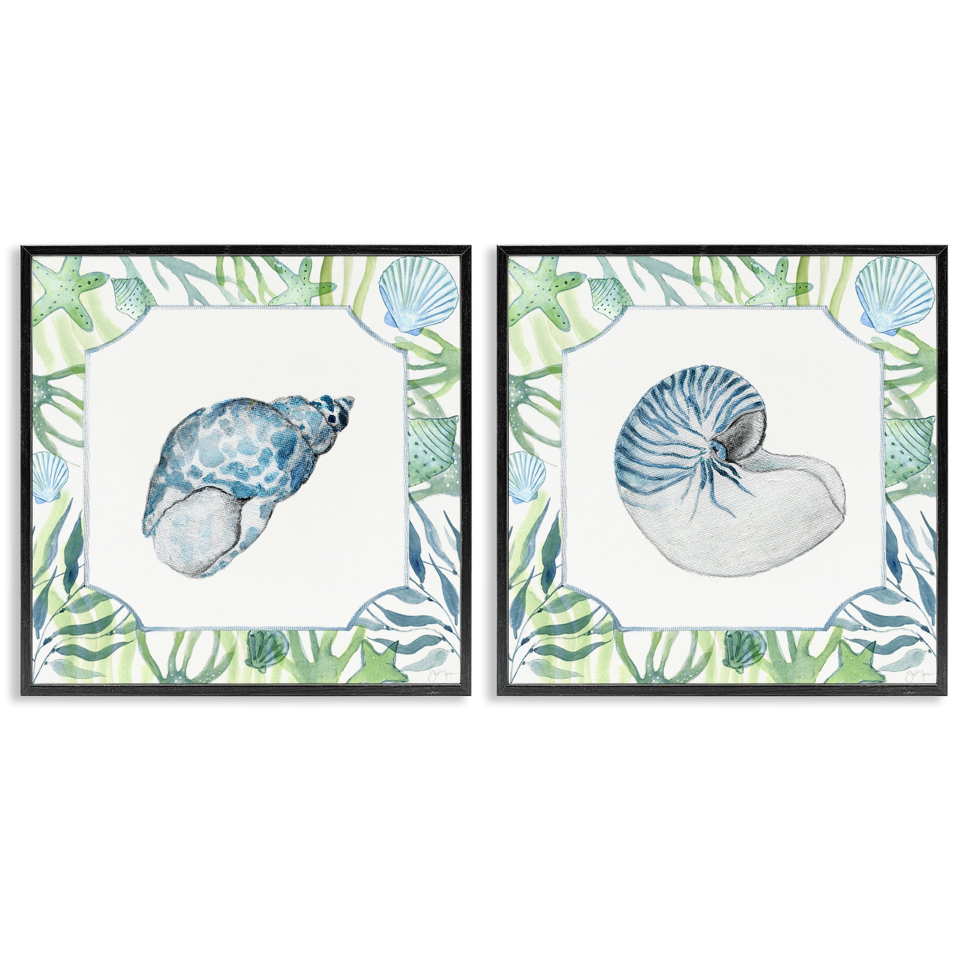 Stupell Industries Seaweed Bordered Seashells 2 Piece Black Framed Giclee Art Set, design by Janet Tava