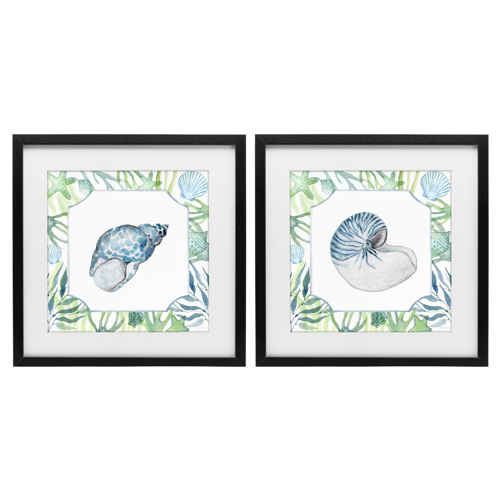 Stupell Industries Seaweed Bordered Seashells 2 Piece Black Framed Print Under Glass Set, design by Janet Tava