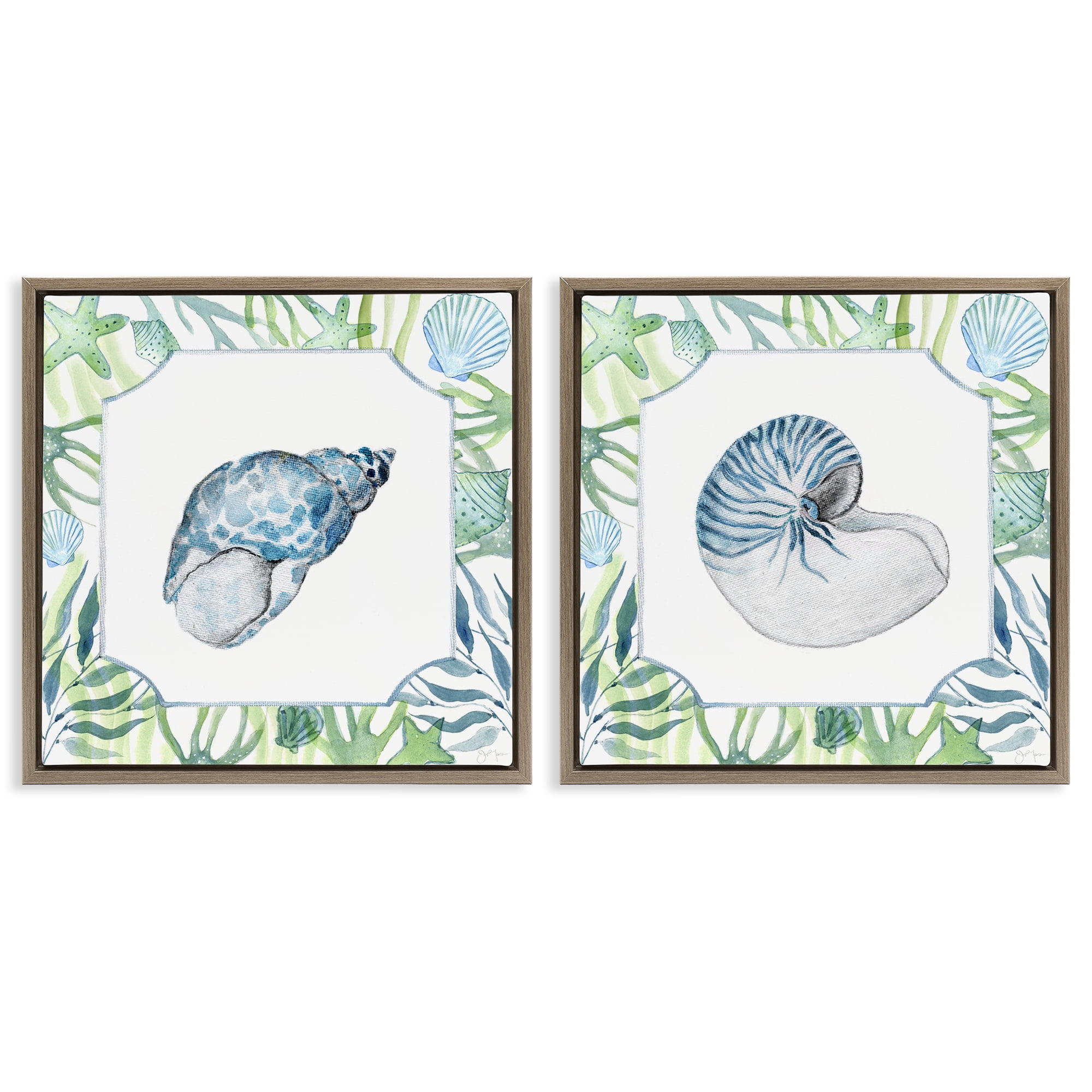 Stupell Industries Seaweed Bordered Seashells 2 Piece Brown Framed Floater Canvas Set, design by Janet Tava