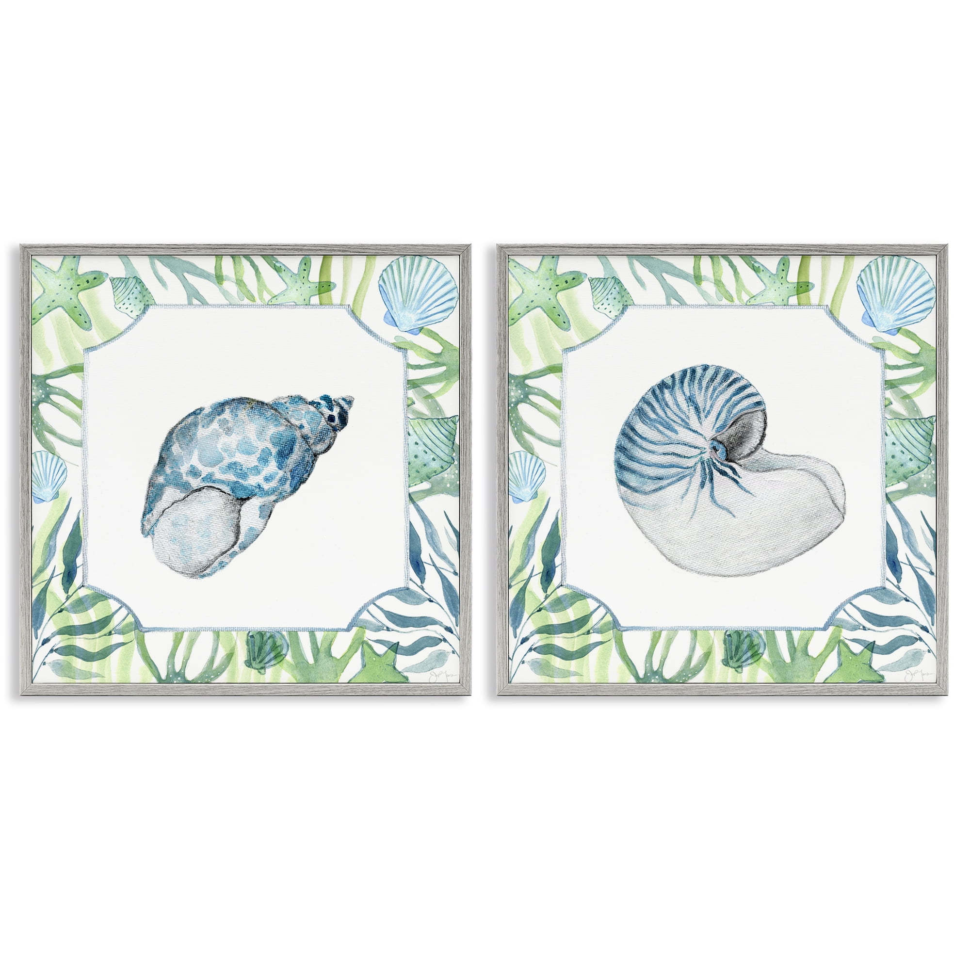 Stupell Industries Seaweed Bordered Seashells 2 Piece Gray Framed Giclee Art Set, design by Janet Tava