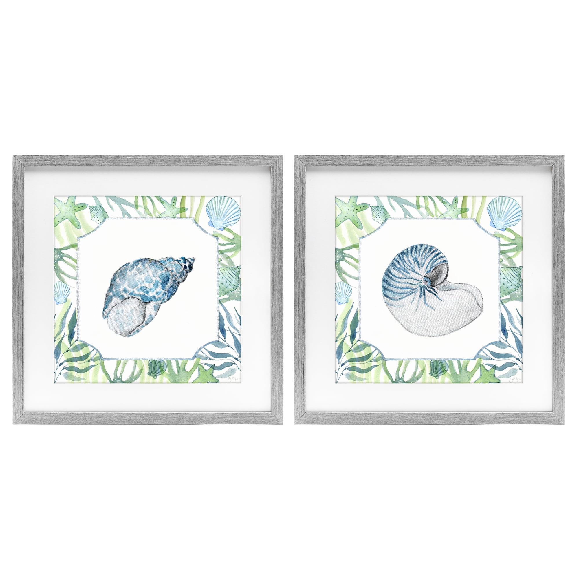 Stupell Industries Seaweed Bordered Seashells 2 Piece Gray Framed Print Under Glass Set, design by Janet Tava