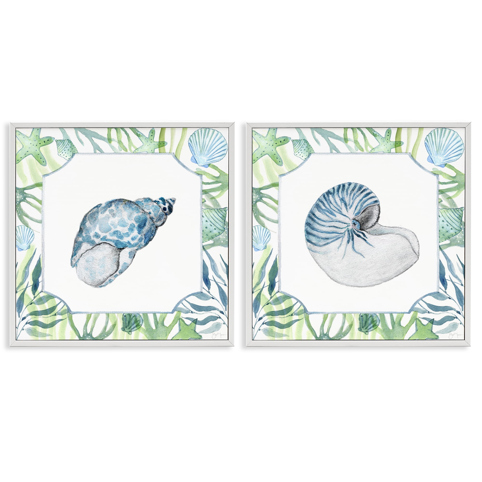 Stupell Industries Seaweed Bordered Seashells 2 Piece White Framed Giclee Art Set, design by Janet Tava
