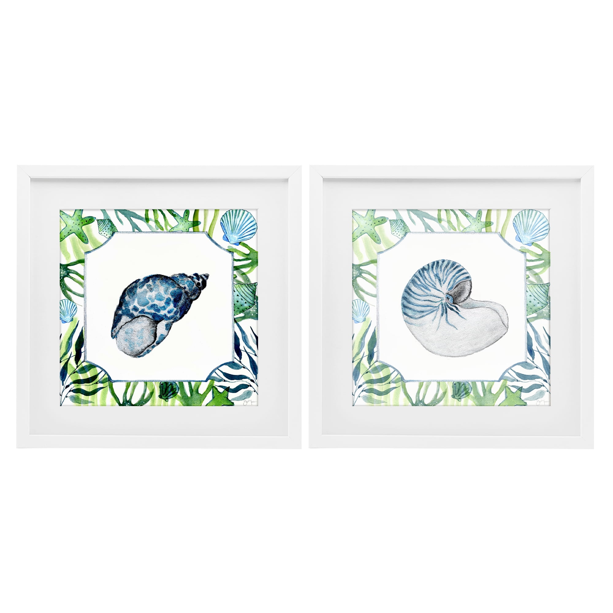 Stupell Industries Seaweed Bordered Seashells 2 Piece White Framed Print Under Glass Set, design by Janet Tava