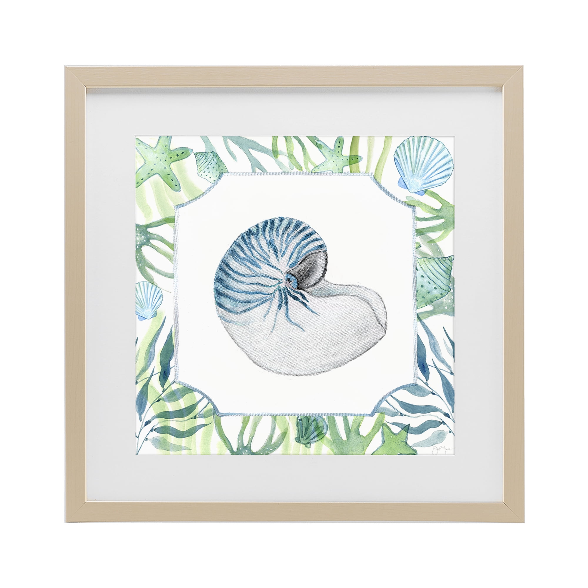 Stupell Industries Seaweed & Seashells Aquatic Birch Framed Print Under Glass, design by Janet Tava