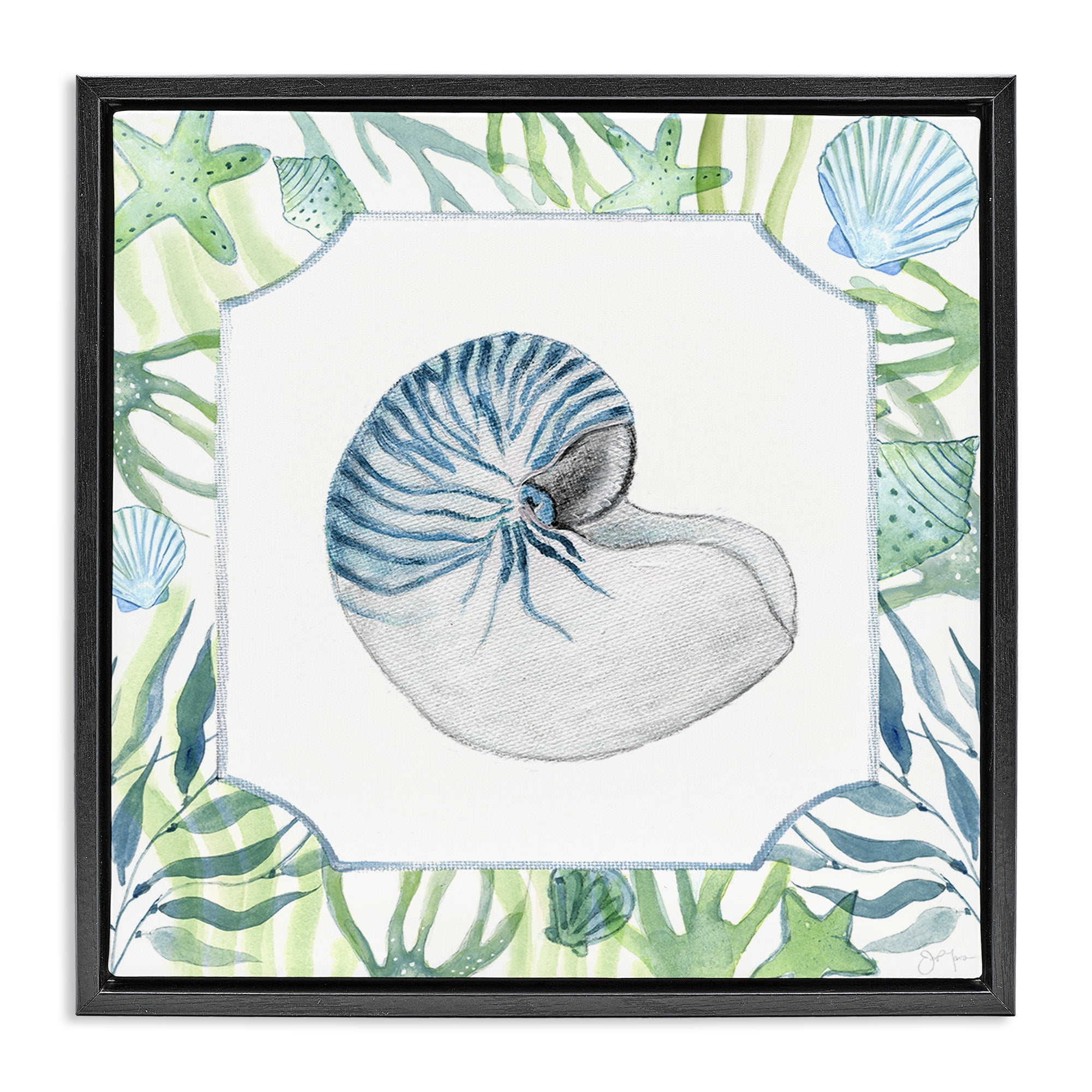 Stupell Industries Seaweed & Seashells Aquatic Black Framed Floater Canvas Wall Art, design by Janet Tava