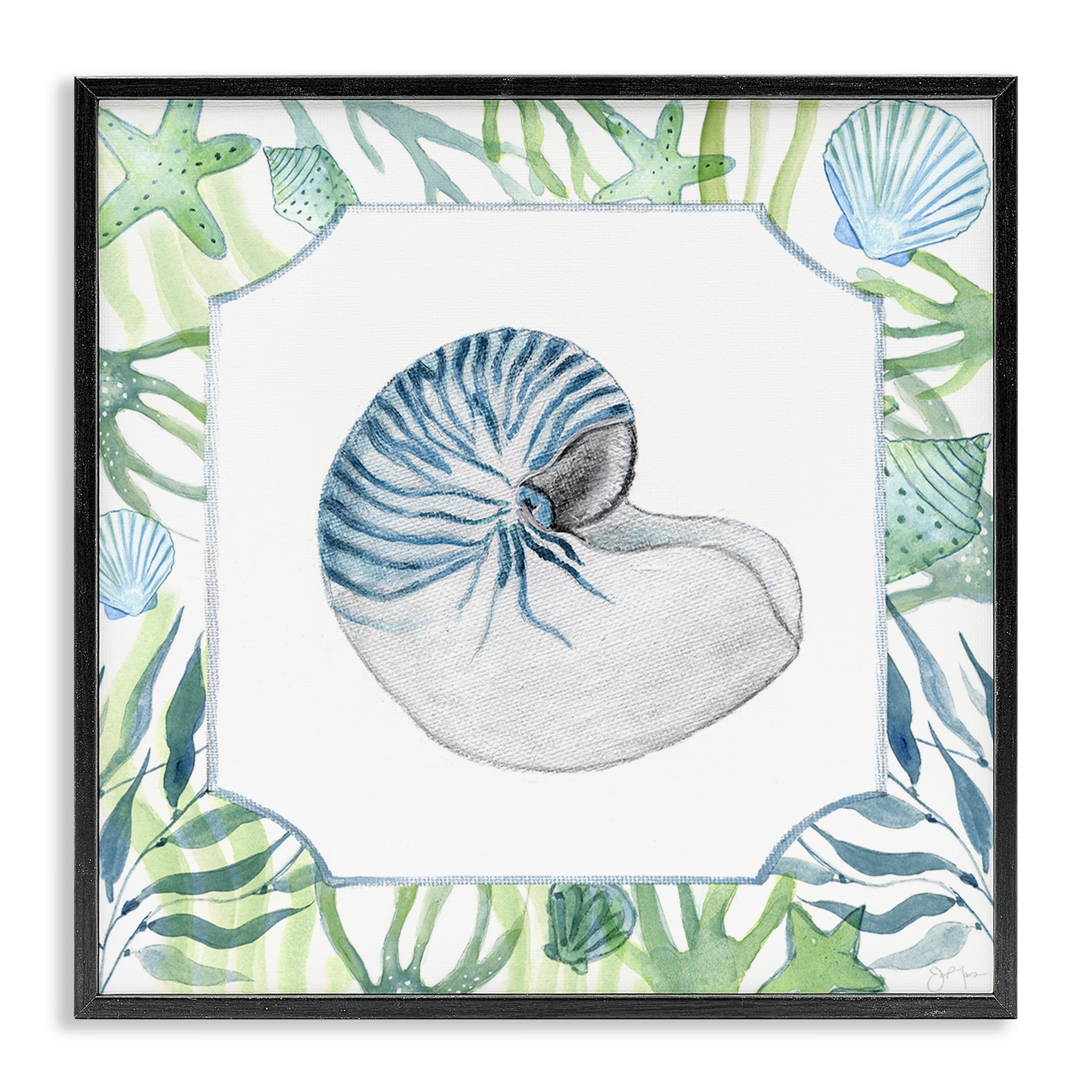 Stupell Industries Seaweed & Seashells Aquatic Black Framed Giclee Art, design by Janet Tava