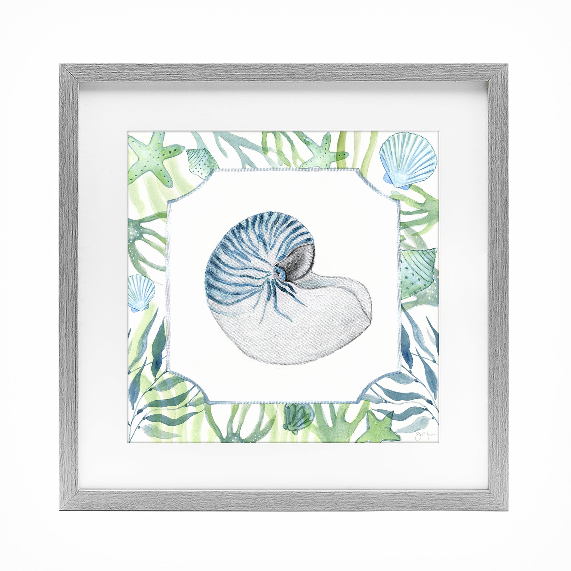 Stupell Industries Seaweed & Seashells Aquatic Gray Framed Print Under Glass, design by Janet Tava