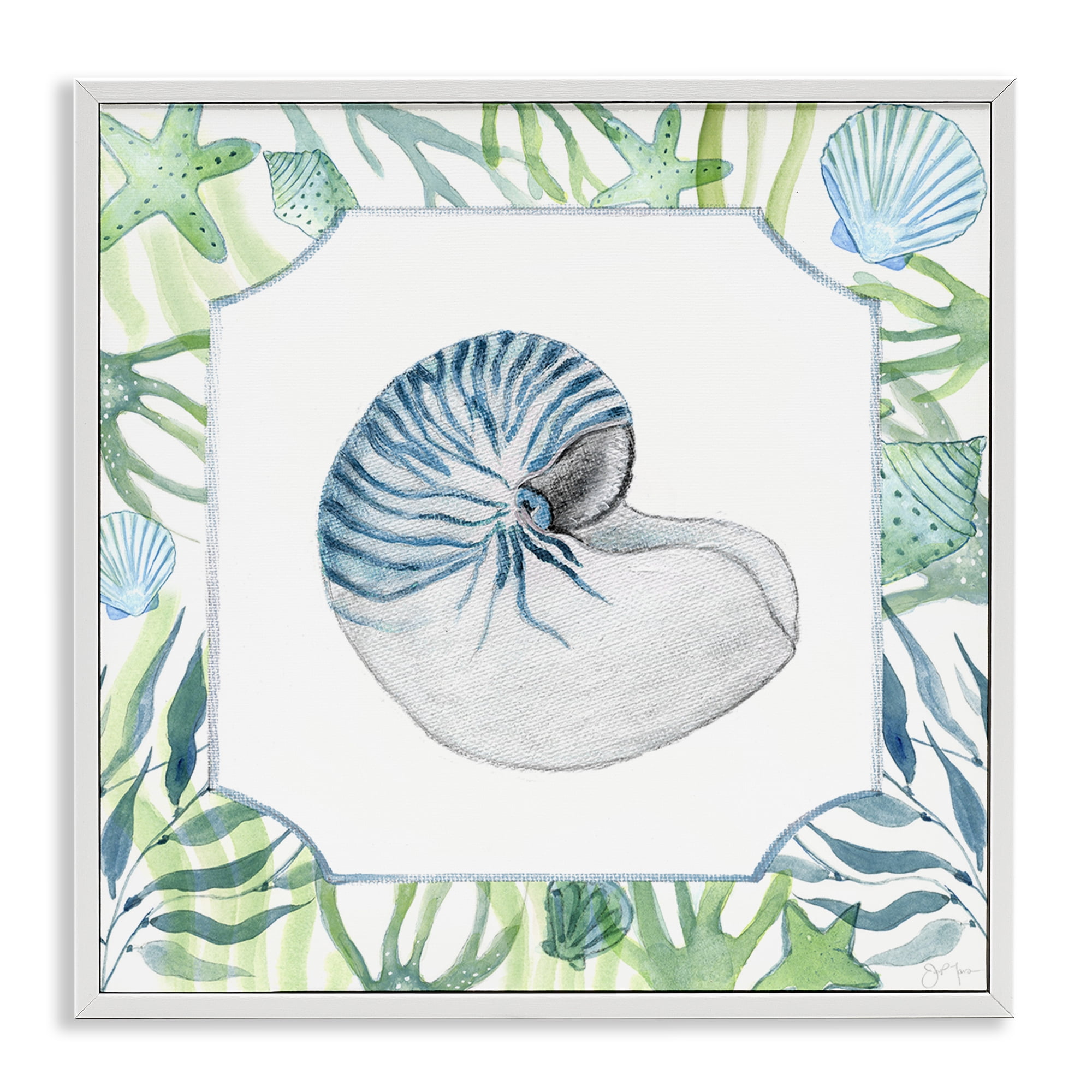 Stupell Industries Seaweed & Seashells Aquatic White Framed Giclee Art, design by Janet Tava