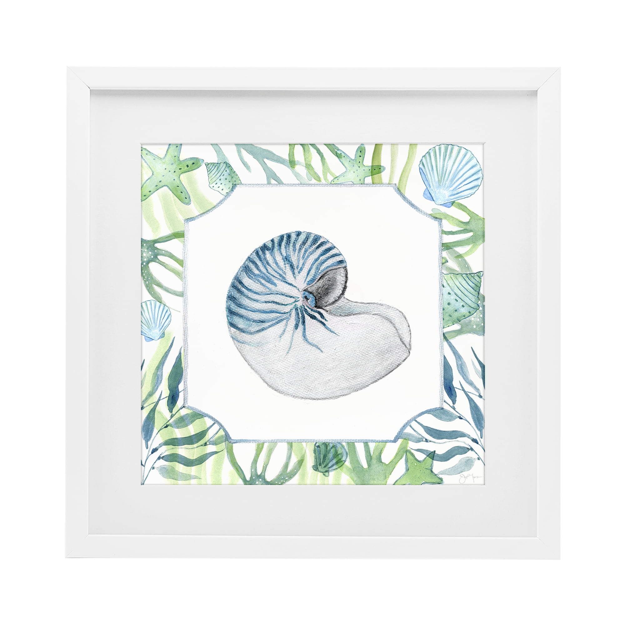 Stupell Industries Seaweed & Seashells Aquatic White Framed Print Under Glass, design by Janet Tava