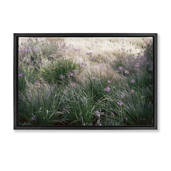 Stupell Industries Secret Garden Meadow Blooms Landscape & Nature Photography Black Floater Framed Canvas Art Print Wall Art, 25 x 17