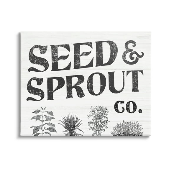 Stupell Industries Seed & Sprout Antique Botanicals Gardening Typography Graphic Art Gallery Wrapped Canvas Print Wall Art, Design by Daphne Polselli
