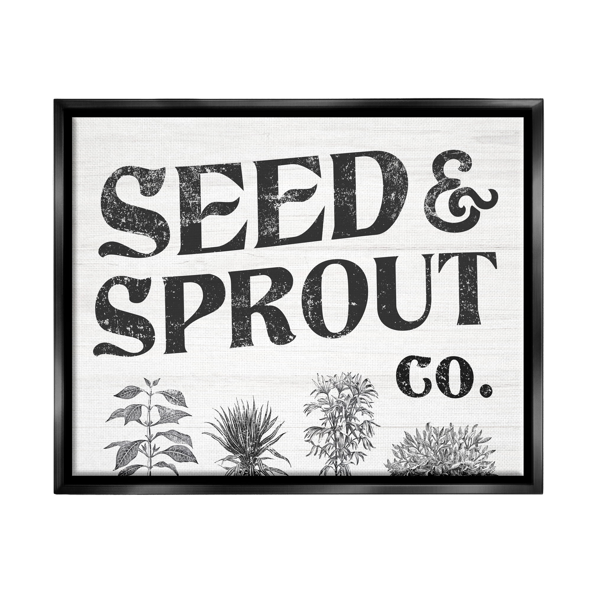 Stupell Industries Seed & Sprout Antique Botanicals Gardening Typography Graphic Art Jet Black Floating Framed Canvas Print Wall Art, Design by Daphne Polselli