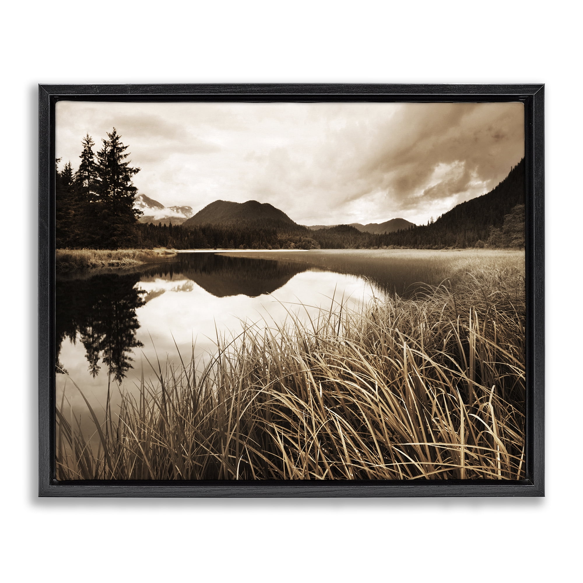 Stupell Industries Sepia Lake Reflection Landscape Photography Black Floater Framed Art Print Wall Art, 31 x 25