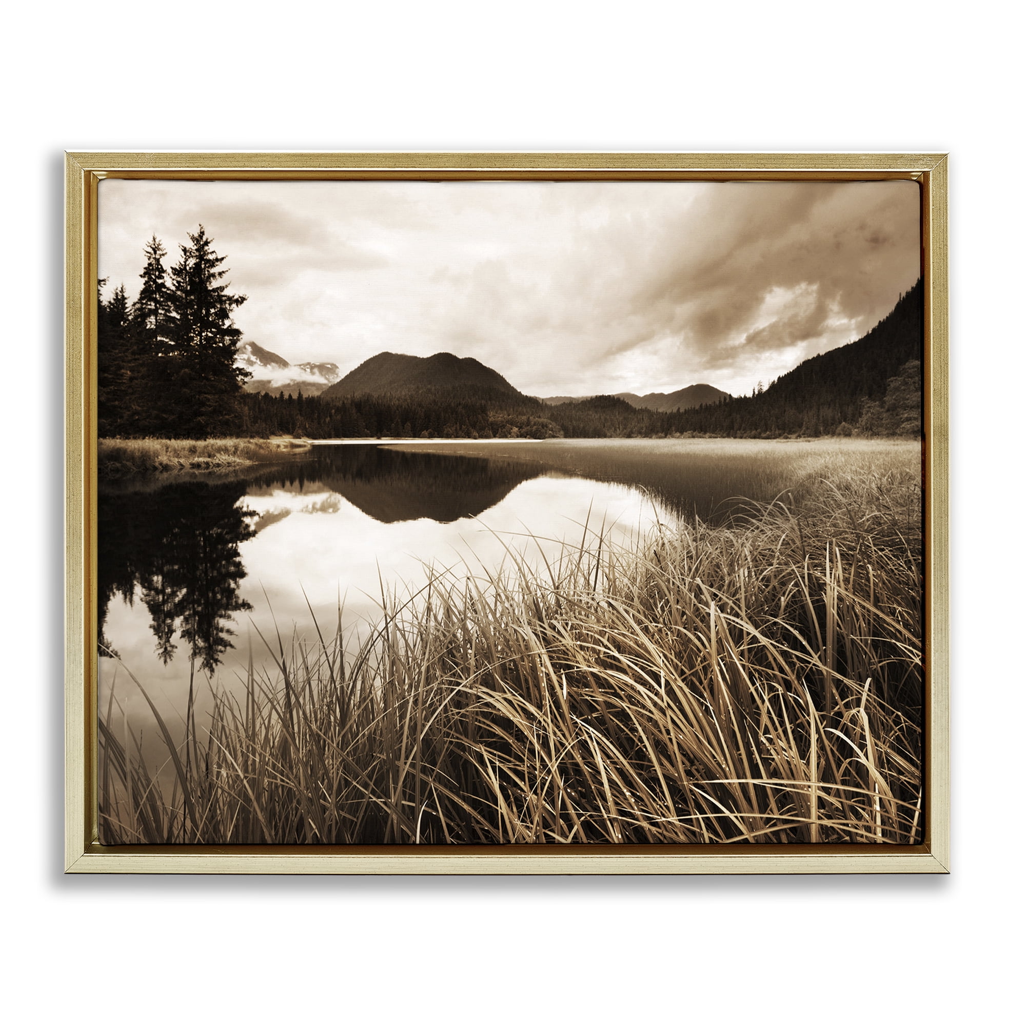 Stupell Industries Sepia Lake Reflection Landscape Photography Gold Floater Framed Art Print Wall Art, 31 x 25