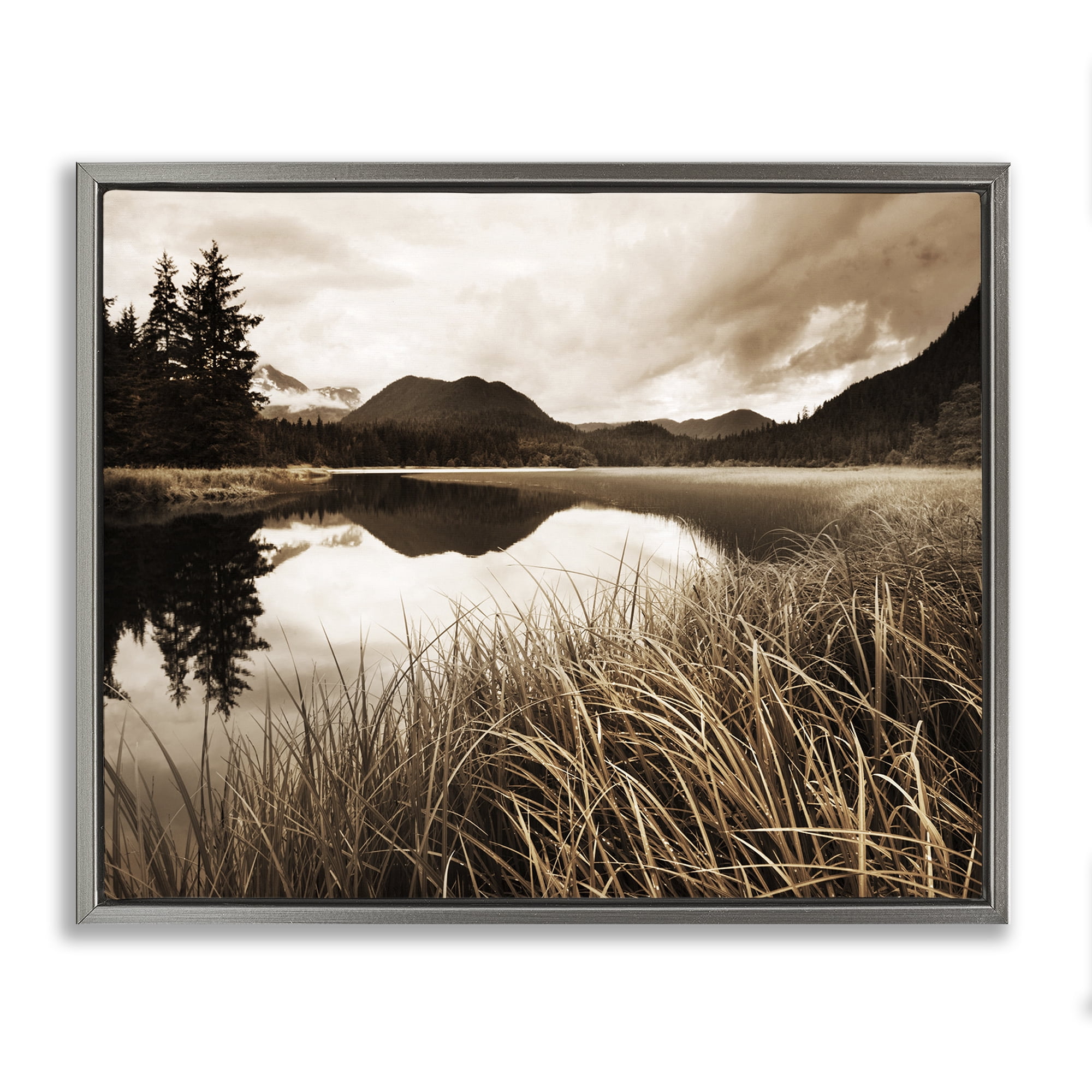 Stupell Industries Sepia Lake Reflection Landscape Photography Gray Floater Framed Art Print Wall Art, 31 x 25