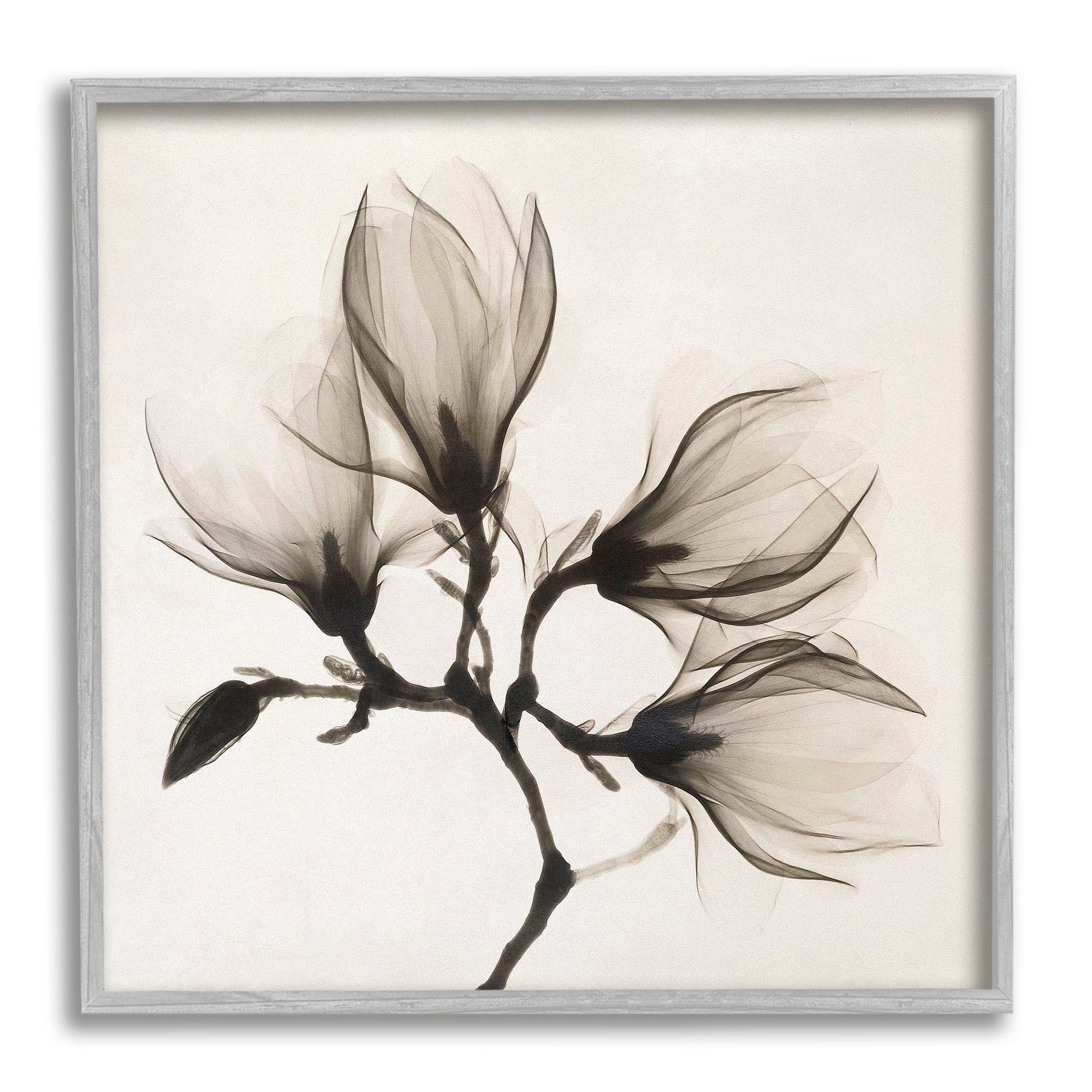 Stupell Industries Sepia Tone Tree Blossom Florals Translucent Flowers Botanical & Floral Photography Gray Framed Art Print Wall Art, 12 x 12