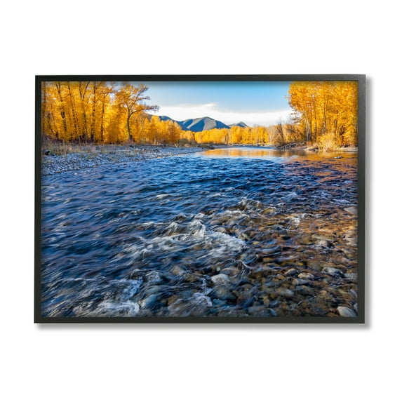 Stupell Industries Serene Babbling Brook Foliage Surrounding Lake Water Photograph Black Framed Art Print Wall Art, Design by Steve Smith
