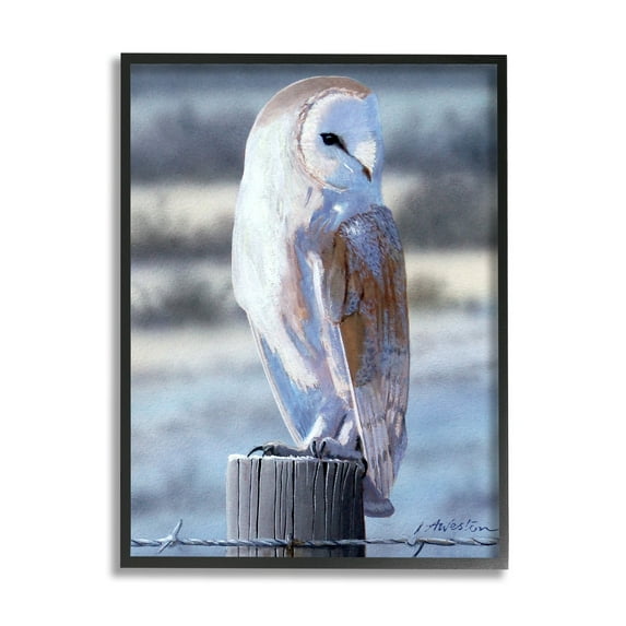 Stupell Industries Serene Barn Owl Perched Snow Dusted Fence Photograph Black Framed Art Print Wall Art, Design by Alan Weston