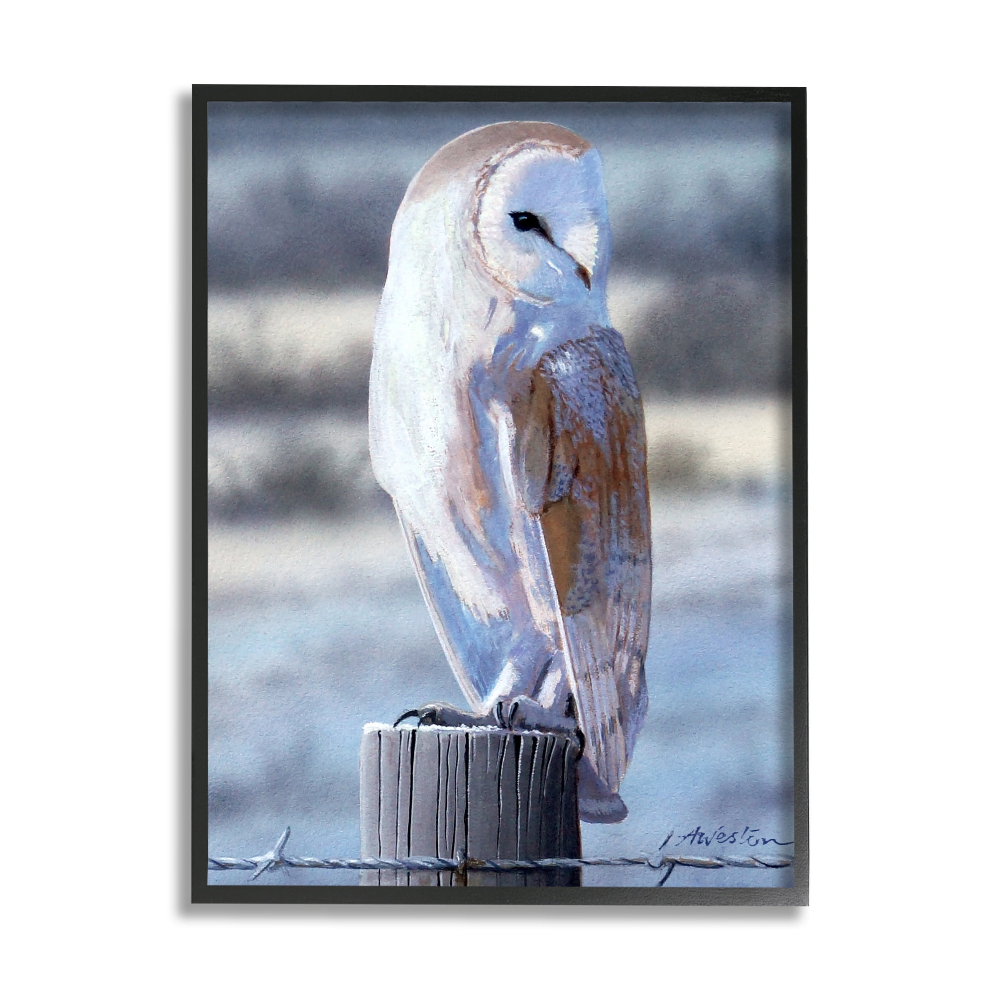 Stupell Industries Serene Barn Owl Perched Snow Dusted Fence Photograph Black Framed Art Print Wall Art, Design by Alan Weston