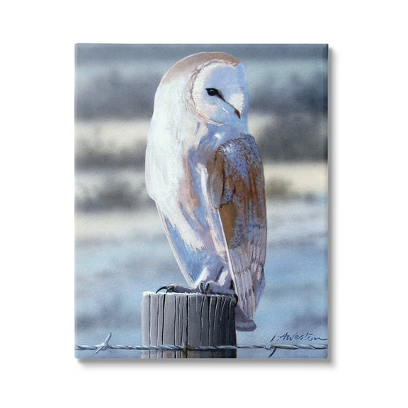 Stupell Industries Serene Barn Owl Perched Snow Dusted Fence Photograph Gallery Wrapped Canvas Print Wall Art, Design by Alan Weston