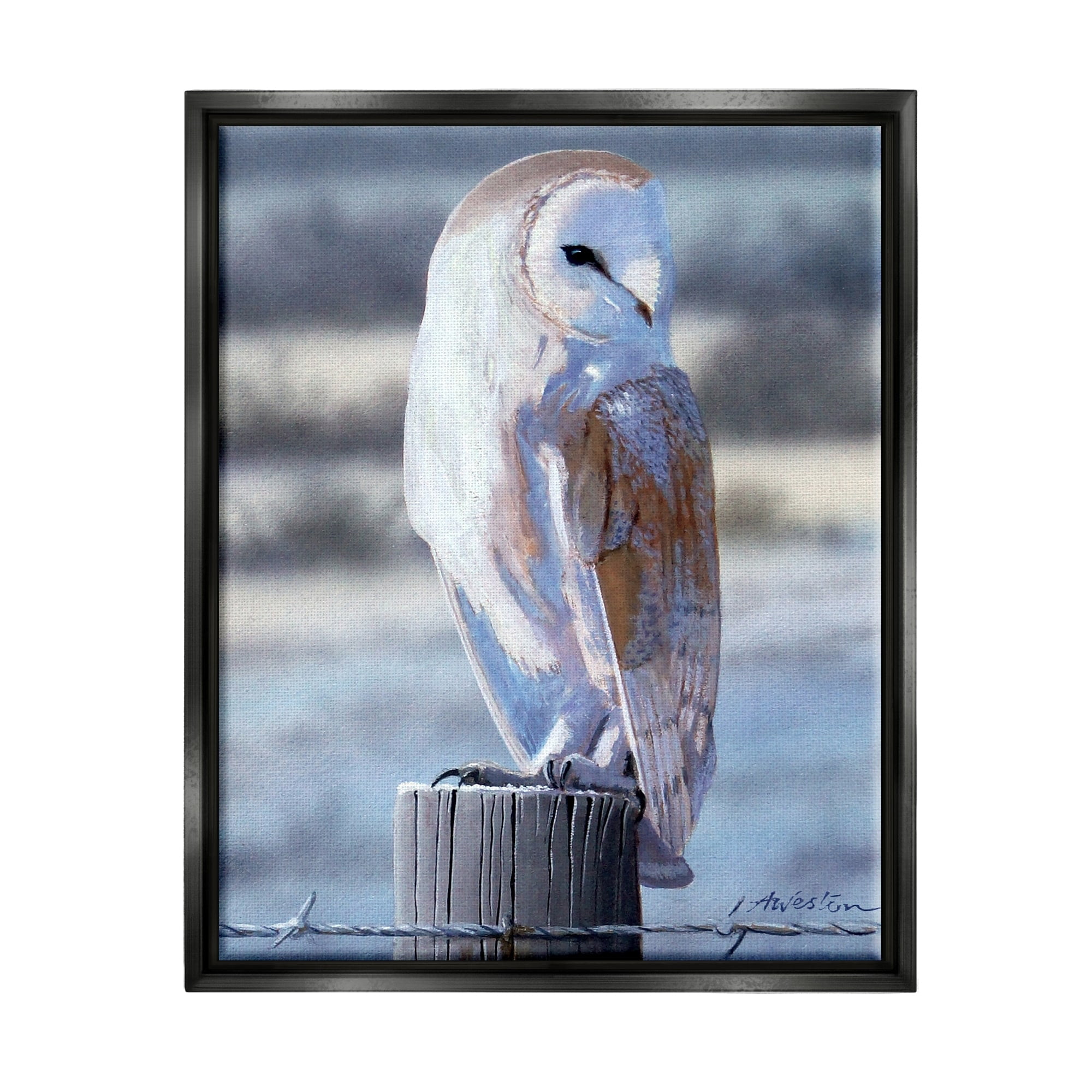 Stupell Industries Serene Barn Owl Perched Snow Dusted Fence Photograph Jet Black Floating Framed Canvas Print Wall Art, Design by Alan Weston