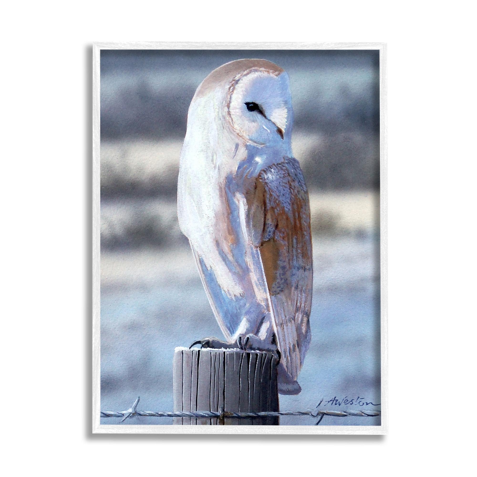Stupell Industries Serene Barn Owl Perched Snow Dusted Fence Photograph White Framed Art Print Wall Art, Design by Alan Weston