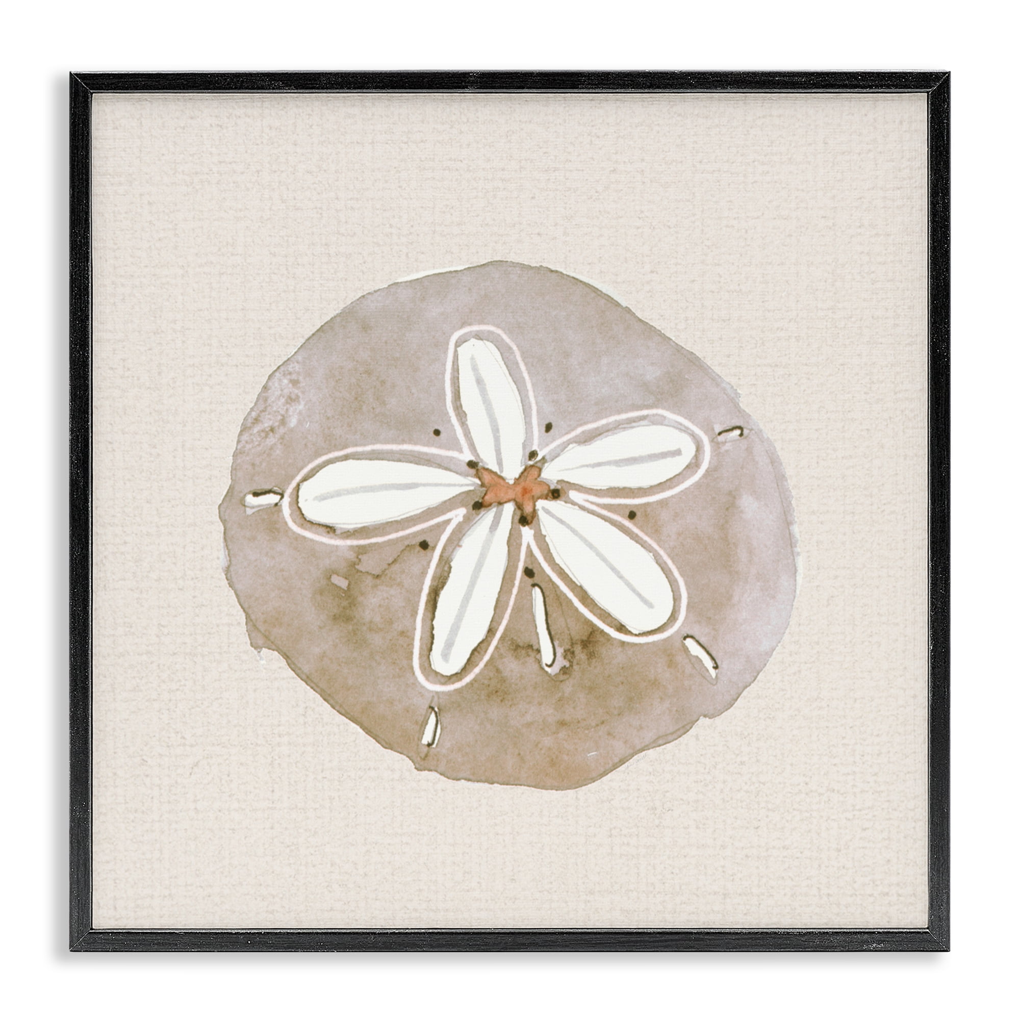 Stupell Industries Serene Beige Sand Dollar Black Framed Giclee Art, design by Lanie Loreth