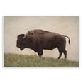 thumbnail image 1 of Stupell Industries Serene Buffalo on Country Hill Animals Painting Unframed Art Print Wall Art, 19 x 13, 1 of 7