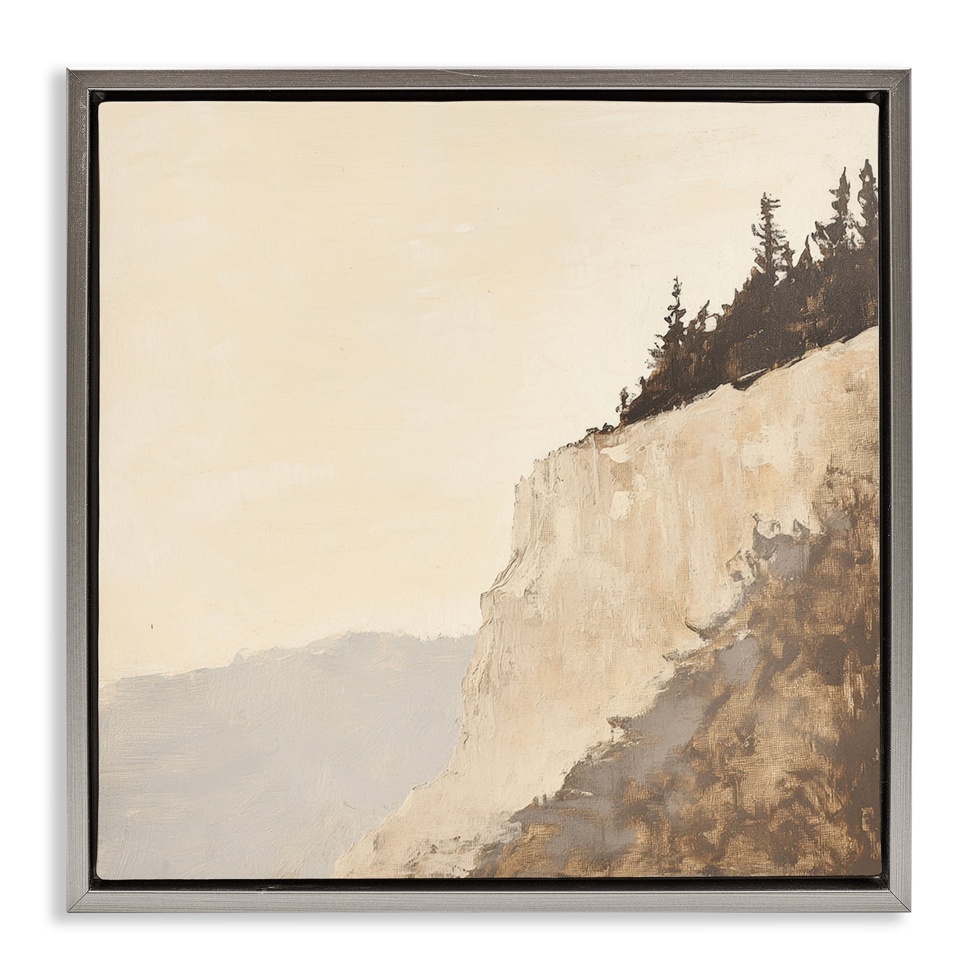 Stupell Industries Serene Cliffside Vista Gray Framed Floater Canvas Wall Art, design by Petal Prints Design