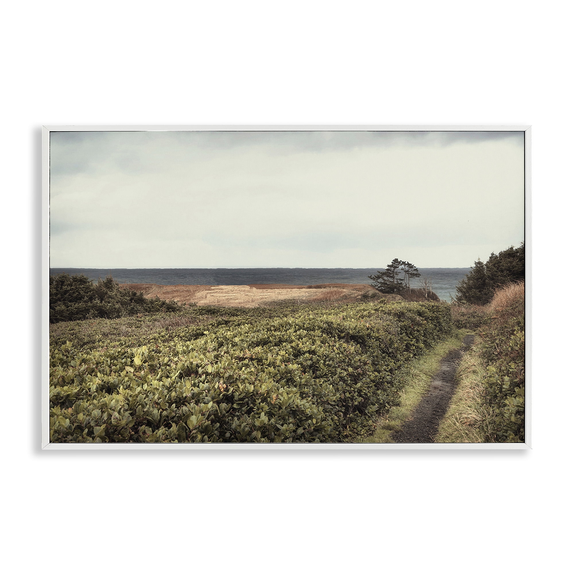 Stupell Industries Serene Coastal Pathway Landscape & Nature Photography White Framed Art Print Wall Art, 24 x 16