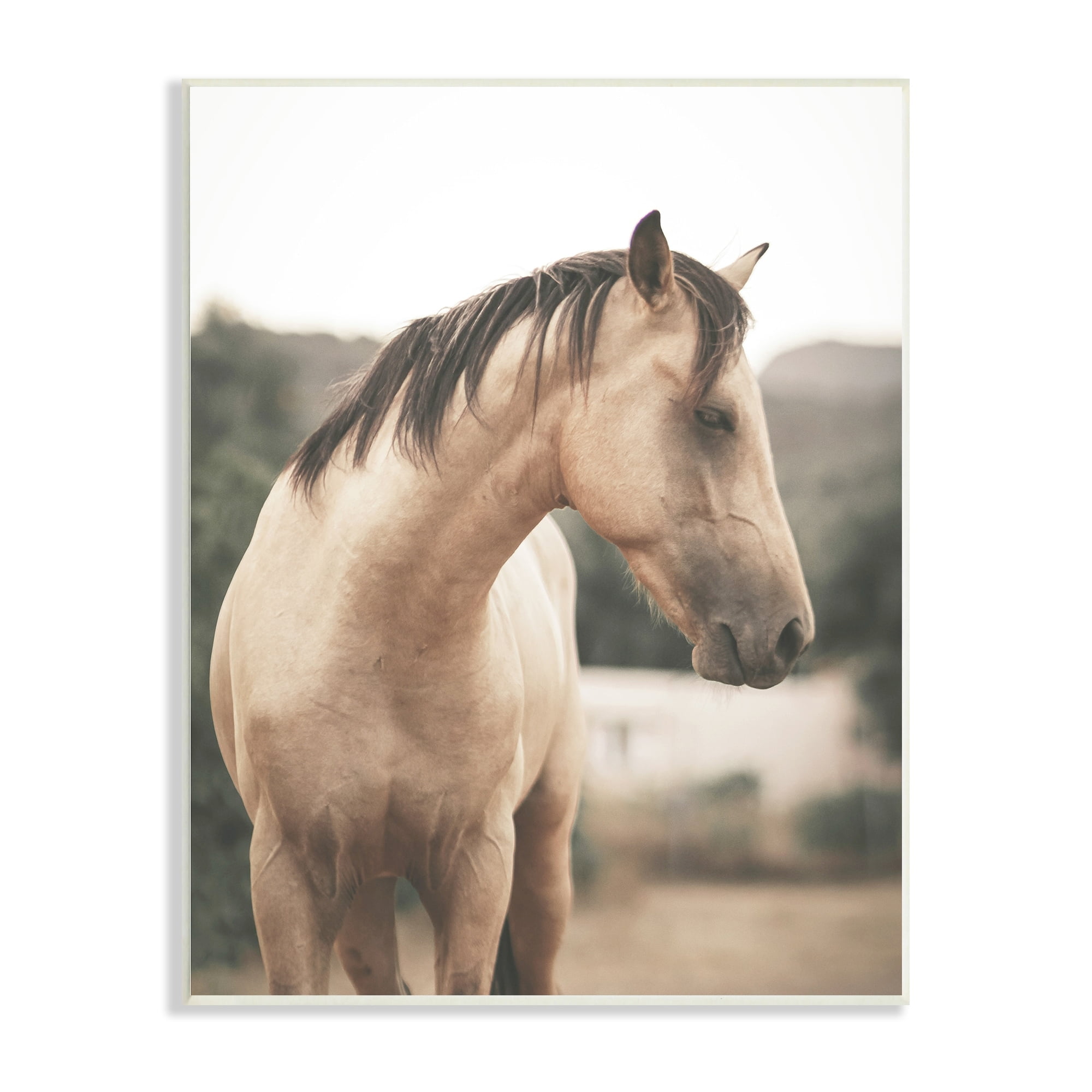 Stupell Industries Serene Countryside Landscape Brown Horse Portrait , 13 x 19, Design by Leah Straatsma