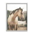 thumbnail image 1 of Stupell Industries Serene Countryside Landscape Brown Horse Portrait Photography Black Framed Art Print Wall Art, 11x14, by Leah Straatsma, 1 of 5