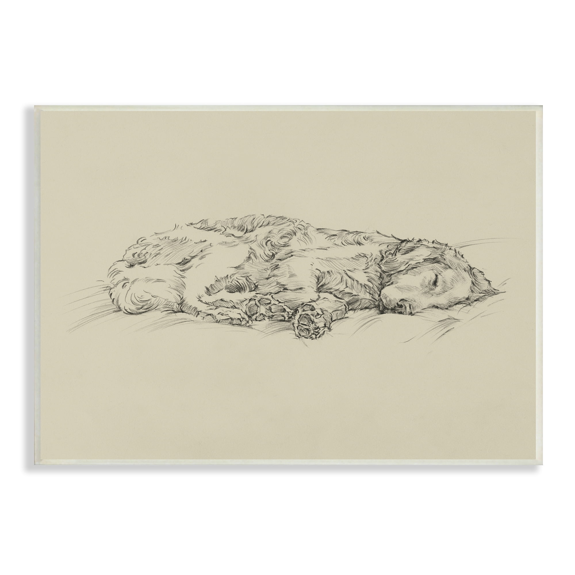 Stupell Industries Serene Dog Sleep Soft Cushion Monochrome Sketch Portrait,19 x 13, Design by Ethan Harper