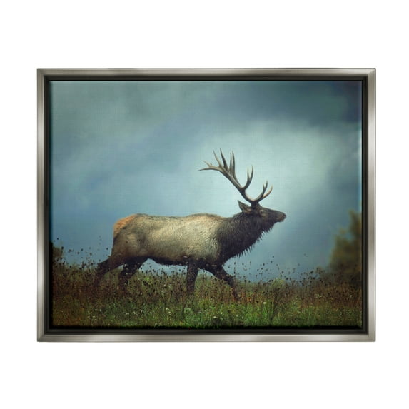 Stupell Industries Serene Elk in Nighttime Clearing Wildlife Photography Photograph Luster Gray Floating Framed Canvas Print Wall Art, Design by Carrie Ann Grippo-Pike